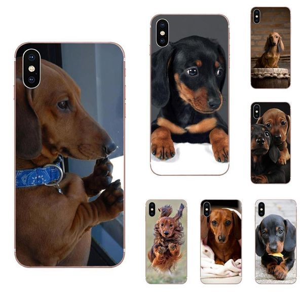 plus lovely animal dachshund dog puppy for samsung galaxy a10 a20 a20e a3 a40 a5 a50 a7 j1 j3 j4 j5 j6 j7
plus lovely animal dachshund dog puppy for samsung galaxy a10 a20 a20e a3 a40 a5 a50 a7 j1 j3 j4 j5 j6 j7
