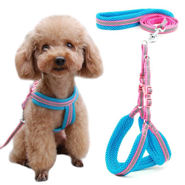dog cat harness vest reflective breathable mesh pet products dogs leash harness adjustable collar puppy small dog night walking
dog cat harness vest reflective breathable mesh pet products dogs leash harness adjustable collar puppy small dog night walking