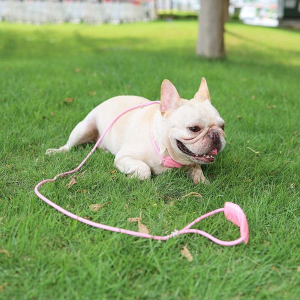 dog collars & leashes pet nylon leash rope for small medium dogs puppy adjustable competition training traction collar lead straps
dog collars & leashes pet nylon leash rope for small medium dogs puppy adjustable competition training traction collar lead straps