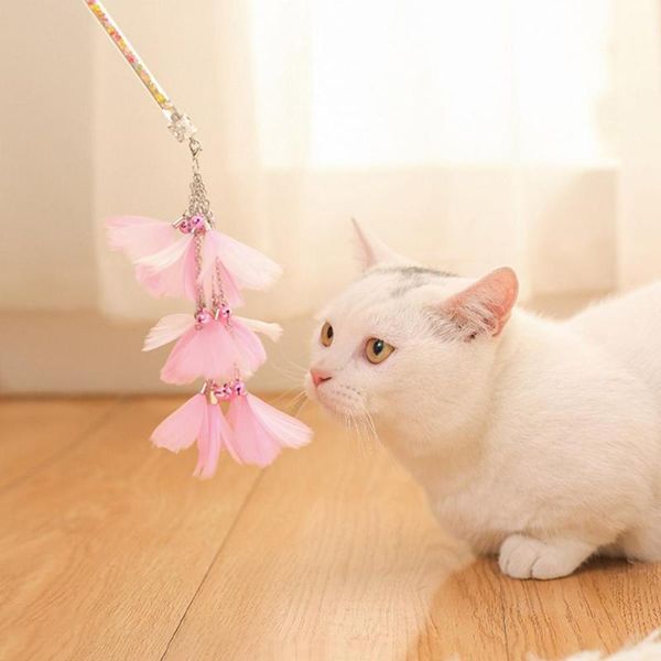 cat toys 2021 pet toy teaser and exerciser wand with 3 layers feather pendant for kitten
cat toys 2021 pet toy teaser and exerciser wand with 3 layers feather pendant for kitten