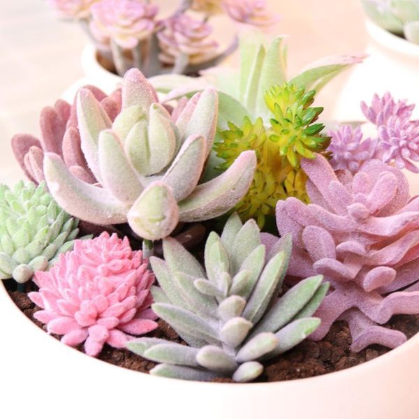 artificial flowers simulated flocking succulents fake plants wedding flowers party accessories flower wall fall decorations1
artificial flowers simulated flocking succulents fake plants wedding flowers party accessories flower wall fall decorations1