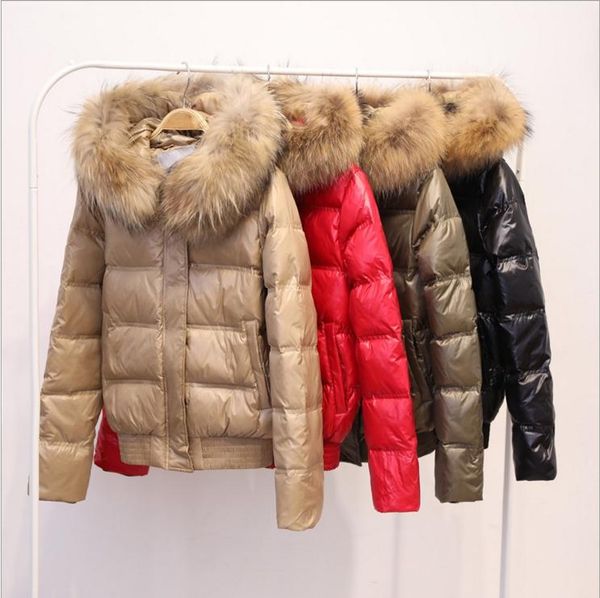 women's down & parkas ailegog winter women real raccoon fur collar white duck hooded jacket short coats female slim casual outerwear, Black
women's down & parkas ailegog winter women real raccoon fur collar white duck hooded jacket short coats female slim casual outerwear, Black