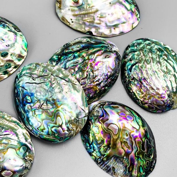 2pcs natural abalone shell pendants charms single side mother of pearl shell diy gifts pendants for jewelry making accessories h jllmwr
2pcs natural abalone shell pendants charms single side mother of pearl shell diy gifts pendants for jewelry making accessories h jllmwr