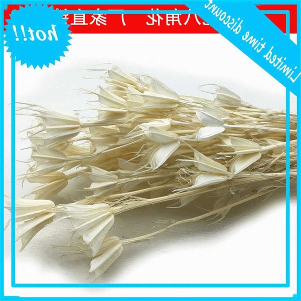 yunnan immortalized diy matching dry flower simulation star anise fresh keeping rose material
yunnan immortalized diy matching dry flower simulation star anise fresh keeping rose material