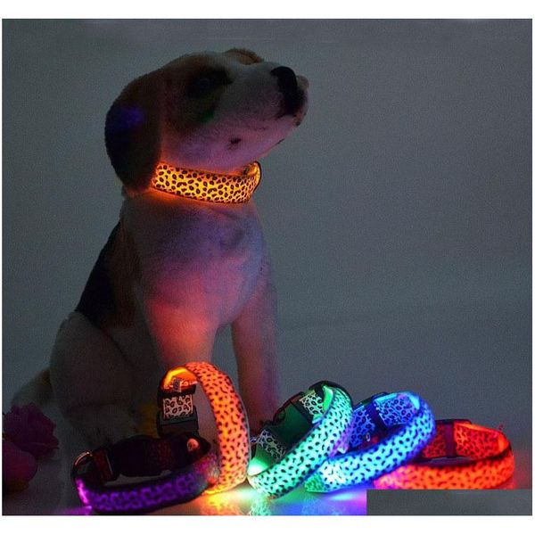 leopard led dog collar solid color nylon dog pet flashing night light up lead necklace adjustable collars za3758 abb8j
leopard led dog collar solid color nylon dog pet flashing night light up lead necklace adjustable collars za3758 abb8j