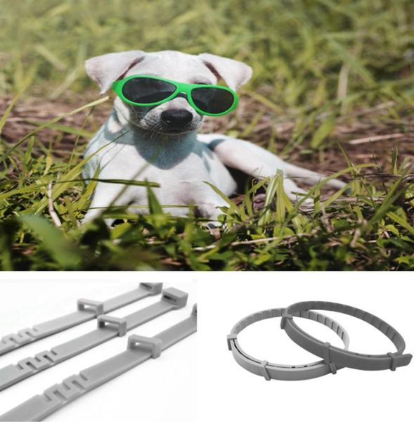 dog collars & leashes practical cat adjustable anti flea ticks collar pet waterproof over 8 months protection accessories
dog collars & leashes practical cat adjustable anti flea ticks collar pet waterproof over 8 months protection accessories