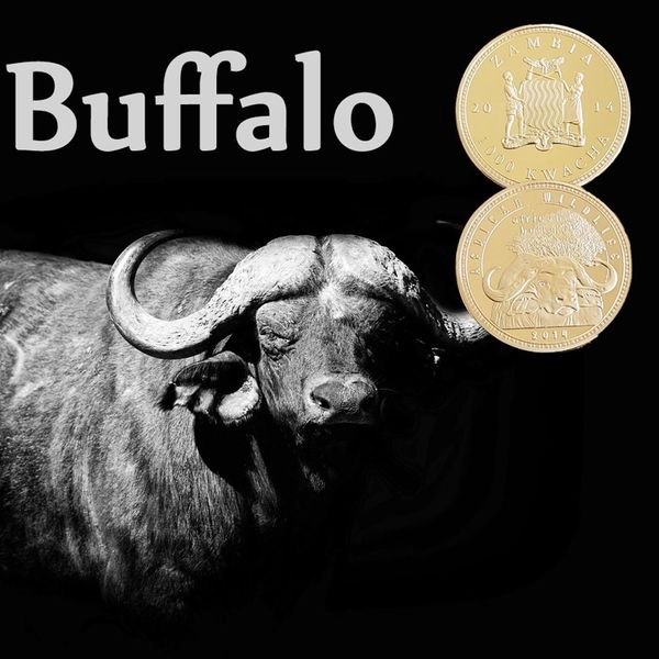 rh gold plated african wildlife zambia buffalo commemorative coin challenge coins collectibles for business gifts f wmtmpo
rh gold plated african wildlife zambia buffalo commemorative coin challenge coins collectibles for business gifts f wmtmpo