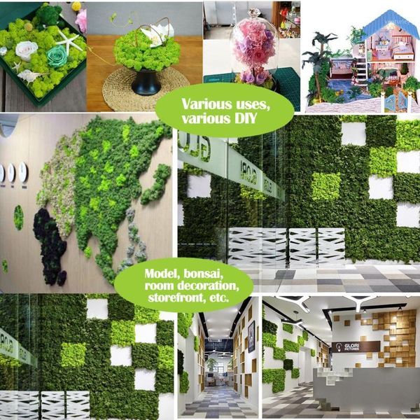 decorative flowers & wreaths 500g natural norwegian reindeer moss for grass basket plant home garden preserved dried craft flower stamen dec
decorative flowers & wreaths 500g natural norwegian reindeer moss for grass basket plant home garden preserved dried craft flower stamen dec