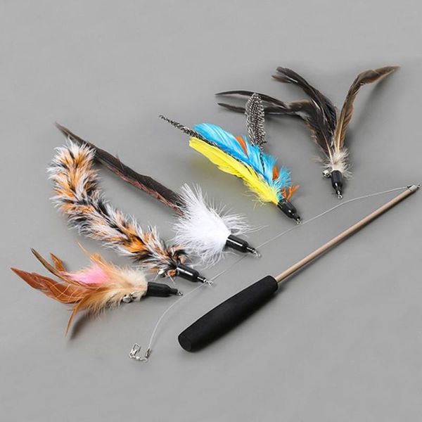 cat toys interactive teaser set retractable fishing pole wand toy and 5 replacement feather fish for kitten
cat toys interactive teaser set retractable fishing pole wand toy and 5 replacement feather fish for kitten