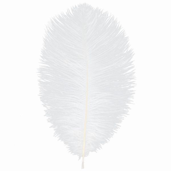 party favor white ostrich feather beautiful happiness fashionable family wedding office el for friends 190812123
party favor white ostrich feather beautiful happiness fashionable family wedding office el for friends 190812123