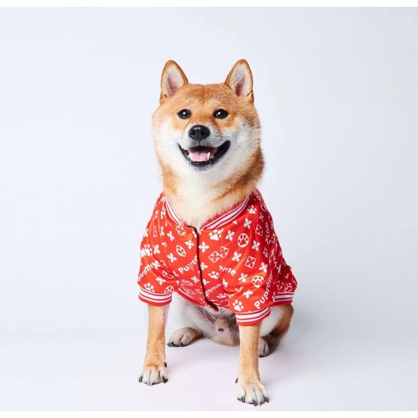fashion teddy corgi schnauzer cotton new year autumn and winter keep warm fashion dog dog coats pet dog jacket clothes sqcptu new_dhbest
fashion teddy corgi schnauzer cotton new year autumn and winter keep warm fashion dog dog coats pet dog jacket clothes sqcptu new_dhbest