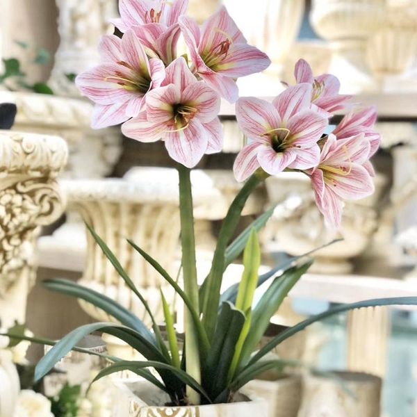 decorative flowers & wreaths 63cm home european style decoration imitation flower artificial clivia hand felt flannel silk living room floor
decorative flowers & wreaths 63cm home european style decoration imitation flower artificial clivia hand felt flannel silk living room floor