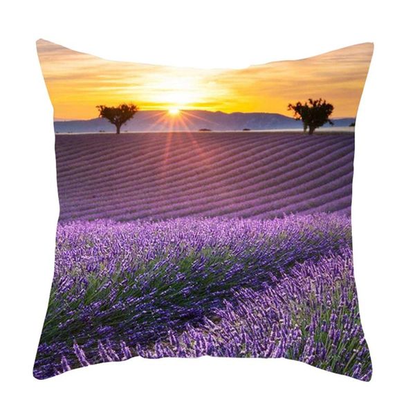 garden style pillowcase decorate sofa seat throw pillow case soft comfortable cushion cover housse de coussin
garden style pillowcase decorate sofa seat throw pillow case soft comfortable cushion cover housse de coussin