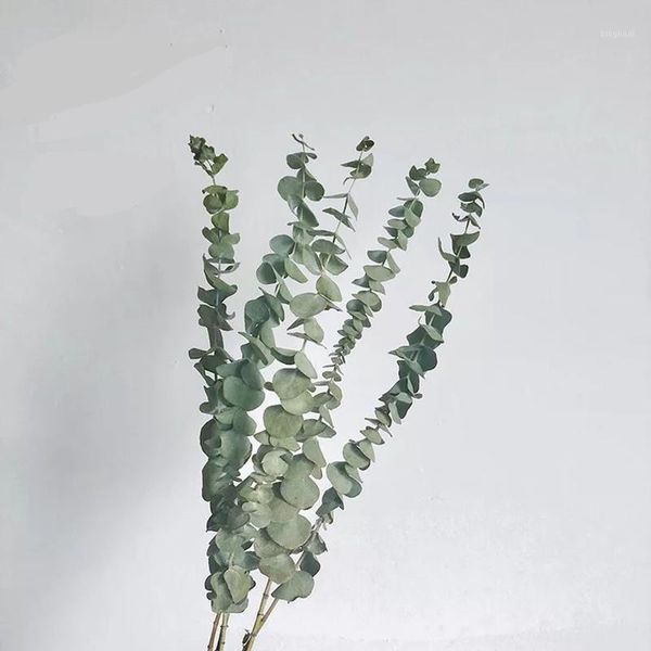 green fake plants large eucalyptus leaf plants wall material decorative artificial leaves for home shop garden home decoration1
green fake plants large eucalyptus leaf plants wall material decorative artificial leaves for home shop garden home decoration1