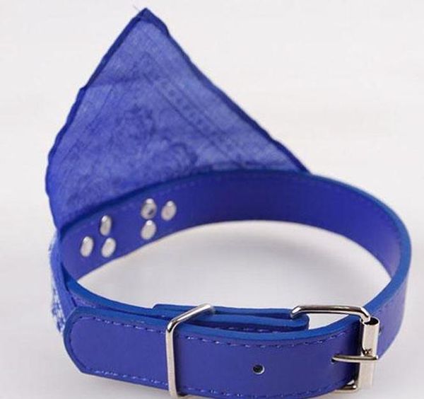 new fahsion small dog scarf adjustable pet cat collars scarf neckerchief necklace trigon pet bbyvmn soif
new fahsion small dog scarf adjustable pet cat collars scarf neckerchief necklace trigon pet bbyvmn soif