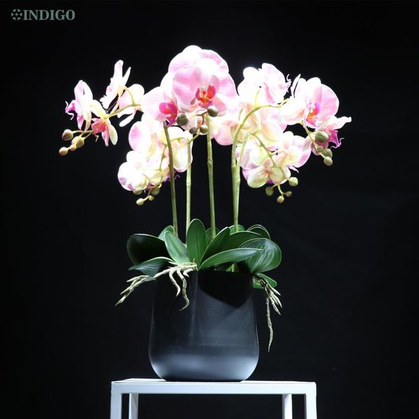 pink orchids diy flower arrangment bonsai (5 orchid +5 leaves+moss +pot) phalaenopsis table centerpiece home decoration decorative flowers &
pink orchids diy flower arrangment bonsai (5 orchid +5 leaves+moss +pot) phalaenopsis table centerpiece home decoration decorative flowers &