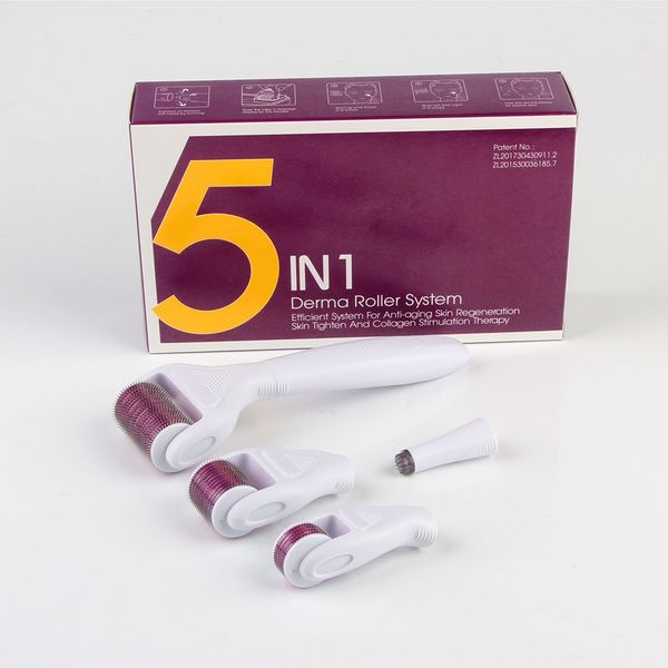 10pcs/lot 5 in 1 derma roller system for anti-hair removal microneedling skin roller dhl shipping
10pcs/lot 5 in 1 derma roller system for anti-hair removal microneedling skin roller dhl shipping