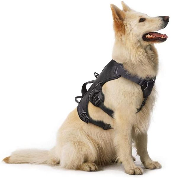 dog collars & leashes rabbitgoo escape-proof harness no pull adjustable reflective walking pet vest for large training
dog collars & leashes rabbitgoo escape-proof harness no pull adjustable reflective walking pet vest for large training
