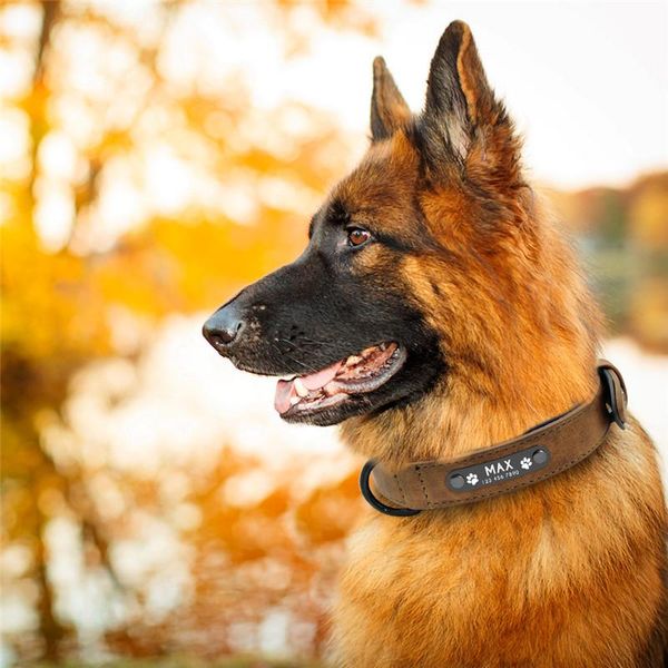 2020 durable tactical dog collar adjustable nylon military dog collar leash for medium large dogs german shepherd training hunting 
2020 durable tactical dog collar adjustable nylon military dog collar leash for medium large dogs german shepherd training hunting