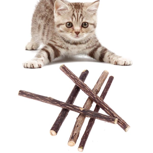 cat 5pcs 12cm cleaning teeth natural catnip pet cat molar toothpaste stick silvervine actinidia fruit matatabi cat snacks sticks
cat 5pcs 12cm cleaning teeth natural catnip pet cat molar toothpaste stick silvervine actinidia fruit matatabi cat snacks sticks