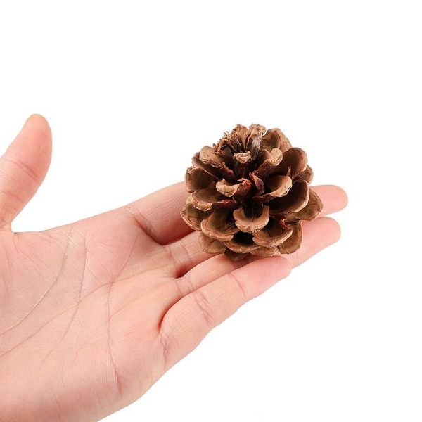 2-15pcs real natural pine cones resin mold bauble for diy epoxy resin mold pendant necklace jewelry making findings acc qylmkp
2-15pcs real natural pine cones resin mold bauble for diy epoxy resin mold pendant necklace jewelry making findings acc qylmkp
