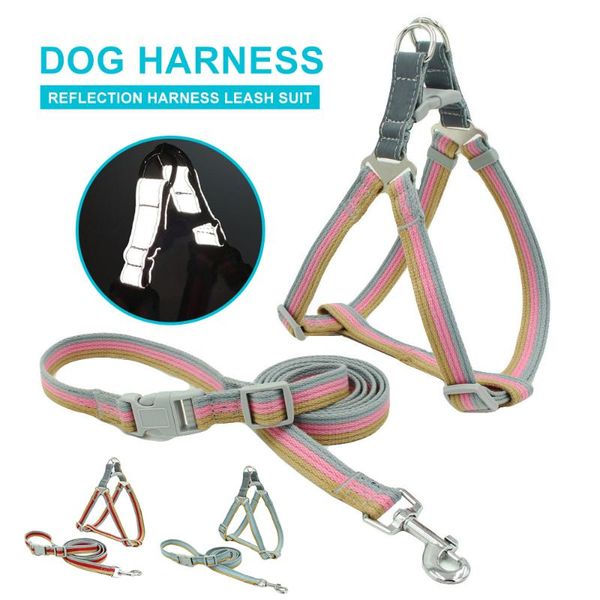 contrast cat dogs harness leash set adjustable explosion-proof reflective dog vest comfortable durable walking pets harnesses
contrast cat dogs harness leash set adjustable explosion-proof reflective dog vest comfortable durable walking pets harnesses