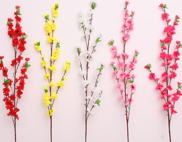 10 pcs mixed japanese bonsai sakura tree seeds weeping cherry tree diy home garden dwarf sakur qylufl bde_luck
10 pcs mixed japanese bonsai sakura tree seeds weeping cherry tree diy home garden dwarf sakur qylufl bde_luck