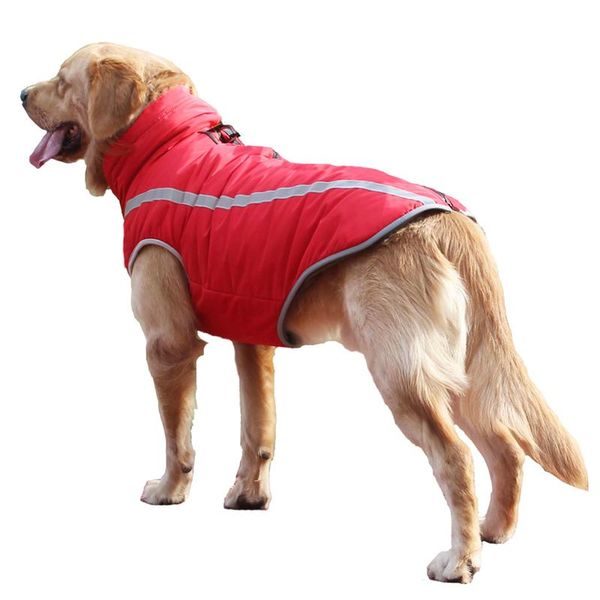 dog apparel xl-6xl reflective chest harness for large dogs keep warm winter fashion windproof harnesses vest simple pets chests clothes
dog apparel xl-6xl reflective chest harness for large dogs keep warm winter fashion windproof harnesses vest simple pets chests clothes