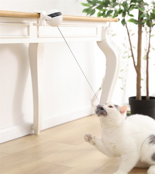 abs 13cm electric cat toy electric lift ball self-hey cat toy interactive educational pet supplies funny decompress cat
abs 13cm electric cat toy electric lift ball self-hey cat toy interactive educational pet supplies funny decompress cat