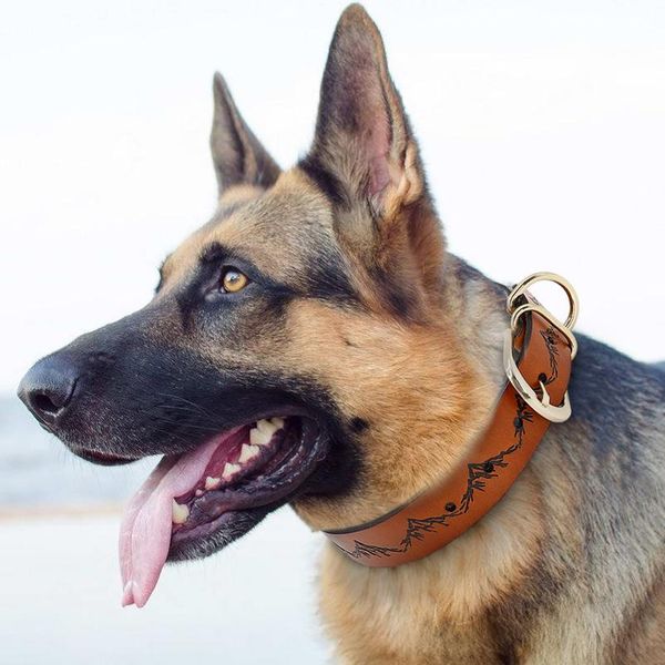 dog collar pet leather dog collars adjustable for medium large dogs pitbull german shepherd k9 pet bbyelp
dog collar pet leather dog collars adjustable for medium large dogs pitbull german shepherd k9 pet bbyelp