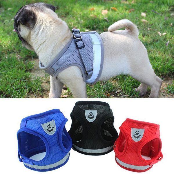 small medium dog harness collars leads pug puppy chihuahua maltese pomeranian safe security pulling vest dog product supplies1
small medium dog harness collars leads pug puppy chihuahua maltese pomeranian safe security pulling vest dog product supplies1