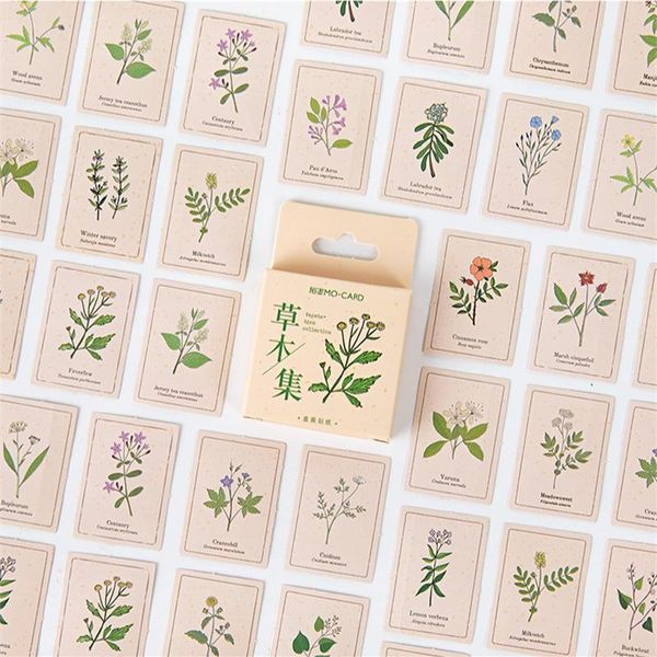 2016 s vegetation collection stickers set green plant herb leaf sticker decoration adhesive note post diary gift paste a6536 h
2016 s vegetation collection stickers set green plant herb leaf sticker decoration adhesive note post diary gift paste a6536 h