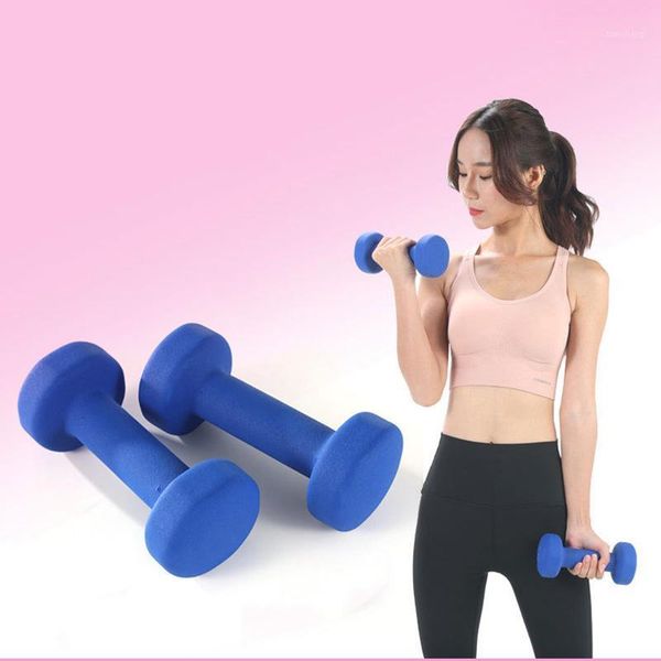 1lb 2lb 3lb 5lb 10lb dumbbells plastic coated dipped hand weights all-purpose color coded dumbbell for women strength training1
1lb 2lb 3lb 5lb 10lb dumbbells plastic coated dipped hand weights all-purpose color coded dumbbell for women strength training1