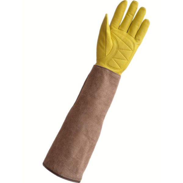 five fingers gloves long sleeve leather gardening sheep gold yellow for women, Blue;gray
five fingers gloves long sleeve leather gardening sheep gold yellow for women, Blue;gray