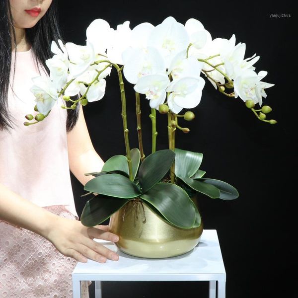 - white orchid diy flower arrangment (5pcs orchid+3pcs leaves+vase) real touch faux office decoration centerpiece1 decorative flowers & wrea
- white orchid diy flower arrangment (5pcs orchid+3pcs leaves+vase) real touch faux office decoration centerpiece1 decorative flowers & wrea