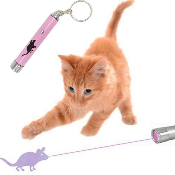 cat toys 1pc chaser 2 in 1 led pen interactive toy multifunction light pointer pet exercise tool no harm
cat toys 1pc chaser 2 in 1 led pen interactive toy multifunction light pointer pet exercise tool no harm
