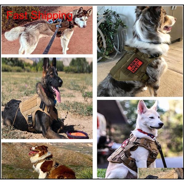 military tactical dog harness pet training dog vest metal buckle german shepherd k9 dog harness and leash for small qylchf bde_luck
military tactical dog harness pet training dog vest metal buckle german shepherd k9 dog harness and leash for small qylchf bde_luck