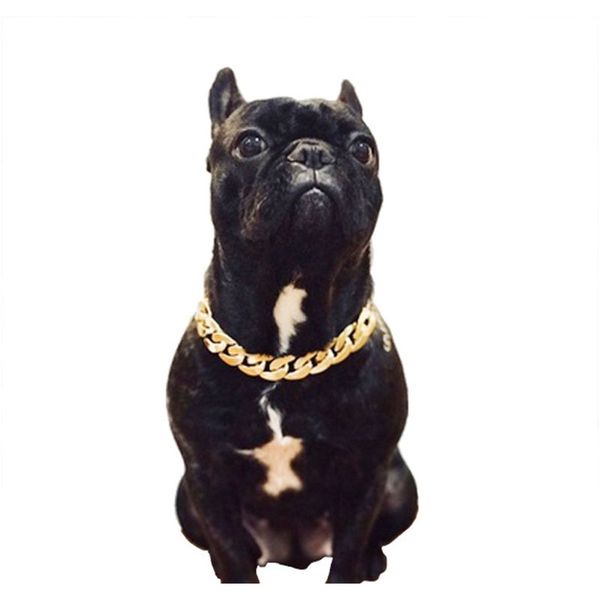 small dog snack chain french bulldog necklace dogs pet accessories dogs collar fat dog necklace pets products mascotas chihuahua f wmtpeb
small dog snack chain french bulldog necklace dogs pet accessories dogs collar fat dog necklace pets products mascotas chihuahua f wmtpeb