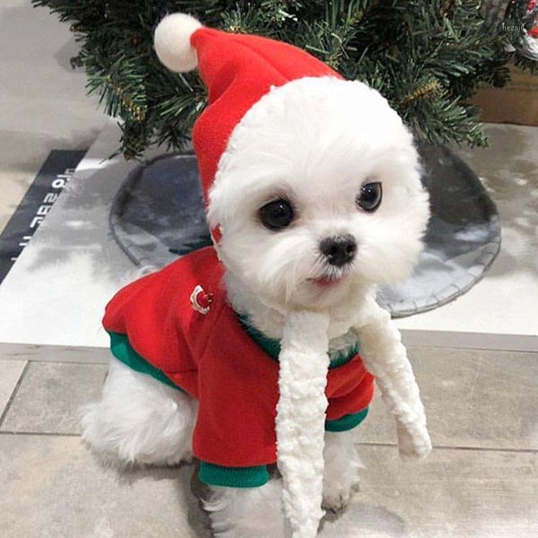 dog apparel autumn and winter pet christmas clothes couple teddy bichon hiromi vip schnauzer cat small dog1
dog apparel autumn and winter pet christmas clothes couple teddy bichon hiromi vip schnauzer cat small dog1