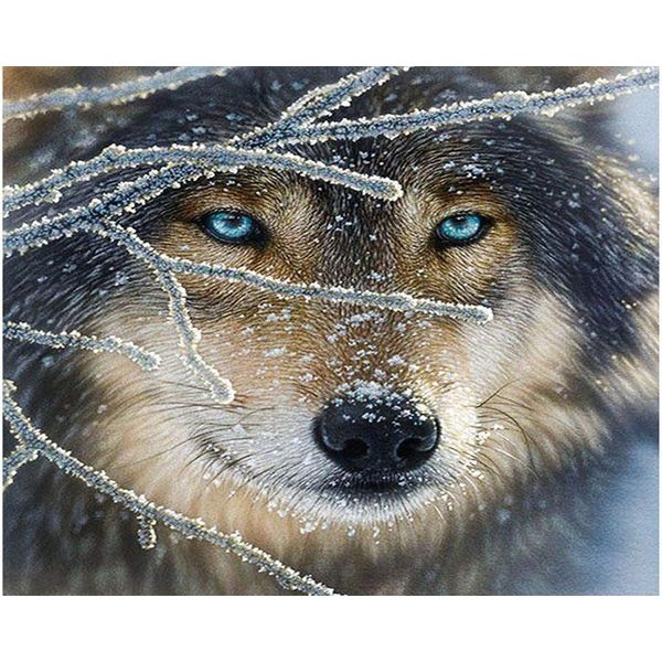 paintings painting by numbers diy drop 40x50 50x65cm plain frost snow wolf head animal canvas wedding decoration art picture gift
paintings painting by numbers diy drop 40x50 50x65cm plain frost snow wolf head animal canvas wedding decoration art picture gift