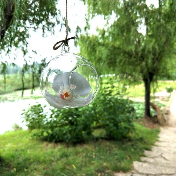 clear globe shape factory hanging glass ball vase flower plants terrarium container micro landscape diy wedding party gi
clear globe shape factory hanging glass ball vase flower plants terrarium container micro landscape diy wedding party gi