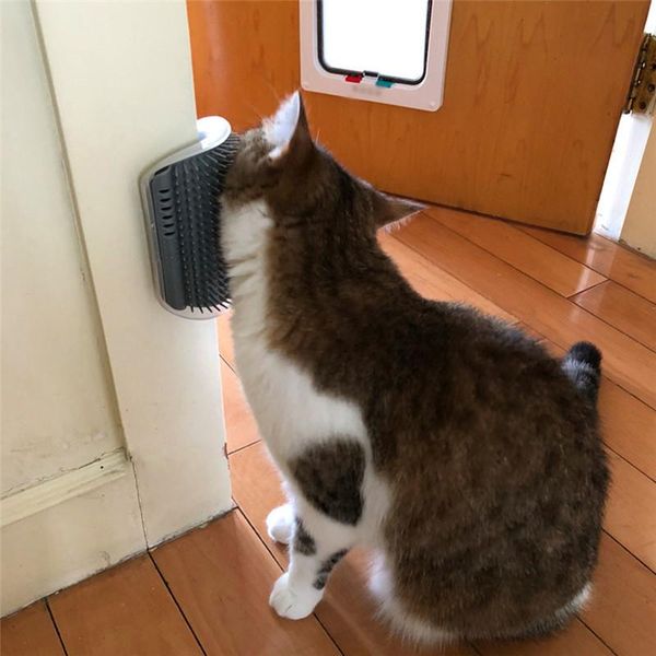 cat самофогущая кисть для питомца для животных поставки для удаления волос для удаления волос для волос для собак
cat самофогущая кисть для питомца для животных поставки для удаления волос для удаления волос для волос для собак