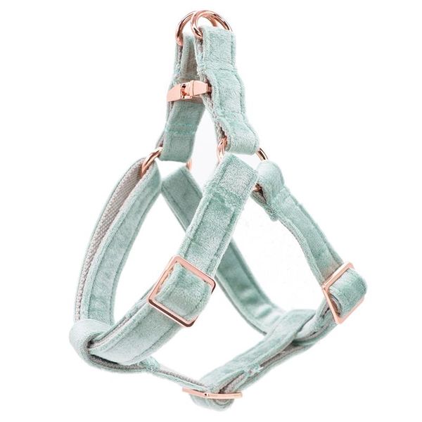 dog collars & leashes green velvet harness basic leash adjustable buckle cotton fabric for or cat
dog collars & leashes green velvet harness basic leash adjustable buckle cotton fabric for or cat