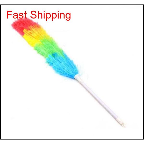 microfiber dust multicolor feather duster anti static with long handle feather brush car cleaner househo qylgvq bde_luck
microfiber dust multicolor feather duster anti static with long handle feather brush car cleaner househo qylgvq bde_luck