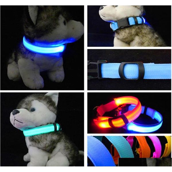 nylon led dog collar light night safety led flashing glow pet supplies pet cat collars dog accessories for small dogs collar led hfc1q
nylon led dog collar light night safety led flashing glow pet supplies pet cat collars dog accessories for small dogs collar led hfc1q