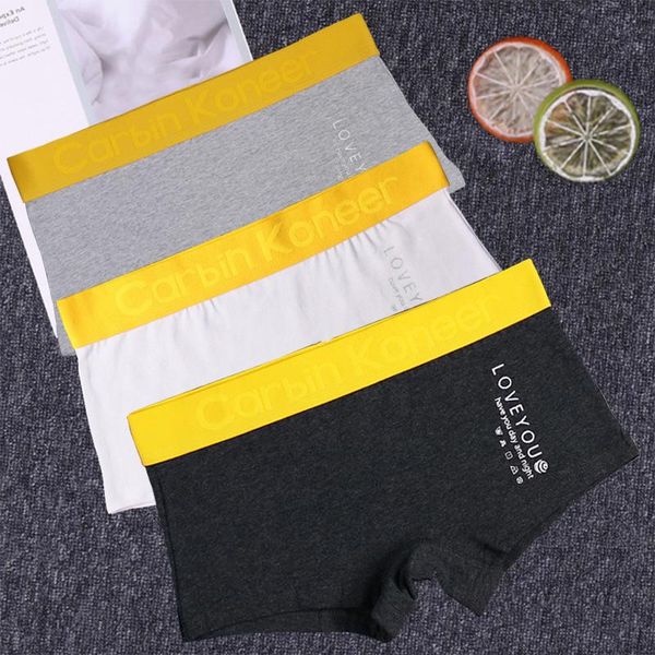 women's panties women cotton boxer briefs neutral underwear boyshort for tomboy trans lesbian transgender knickers sports, Black;pink
women's panties women cotton boxer briefs neutral underwear boyshort for tomboy trans lesbian transgender knickers sports, Black;pink