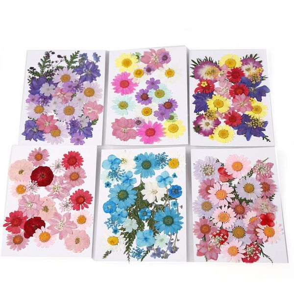 new diy flowers, dried flowers, matching materials, children's handmade plant specimens, p studio props bbycjf
new diy flowers, dried flowers, matching materials, children's handmade plant specimens, p studio props bbycjf