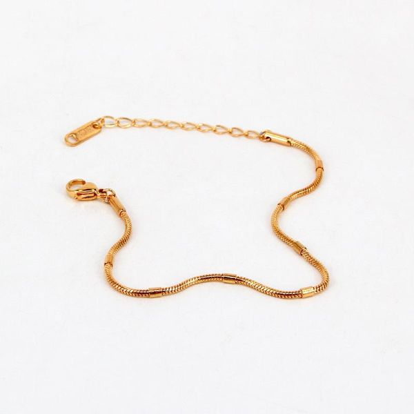 charm bracelets stainless steel little round chain bracelet classical snake bangle rose gold color woman party gift, Golden;silver
charm bracelets stainless steel little round chain bracelet classical snake bangle rose gold color woman party gift, Golden;silver