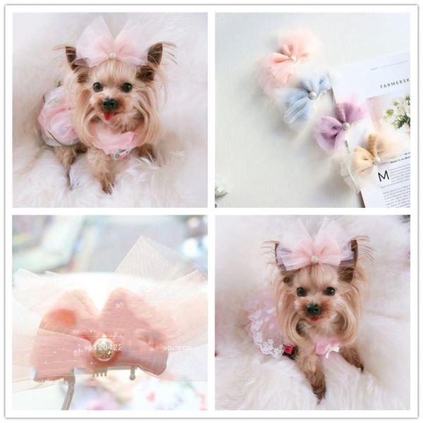 2021 sweet three-dimensional bow hair pet hairpin pet dog comb hairpin handmade grooming hair accessories
2021 sweet three-dimensional bow hair pet hairpin pet dog comb hairpin handmade grooming hair accessories