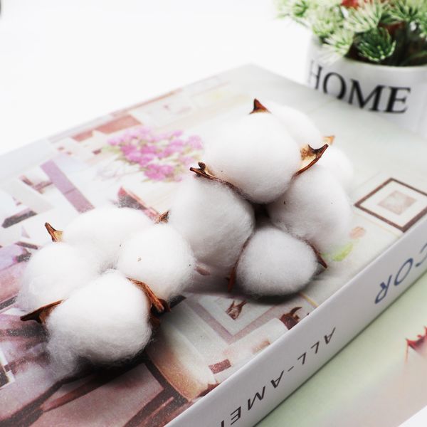 5pcs artificial flower kapok cotton head for wedding christmas home decoration diy craft wreath scrapbook natural dried flowers wmtbrv
5pcs artificial flower kapok cotton head for wedding christmas home decoration diy craft wreath scrapbook natural dried flowers wmtbrv